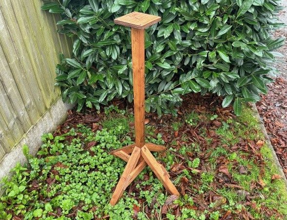 Charles Taylor Charles Taylor Kielder Deluxe Bird Feeding Table