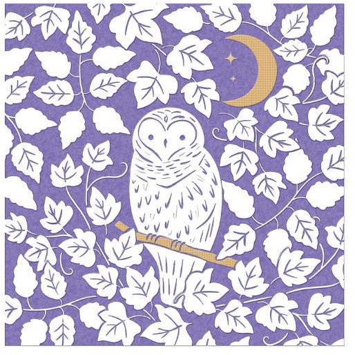 Everley Owl Card
