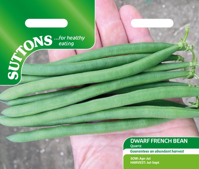 SUTTONS Suttons French Bean Dwarf Phaseolus Seeds