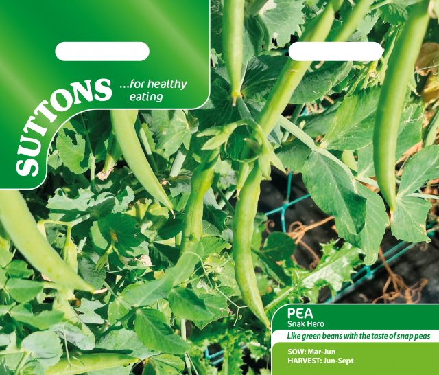 SUTTONS Suttons Pea Pisum Sativum Snak Hero Seeds