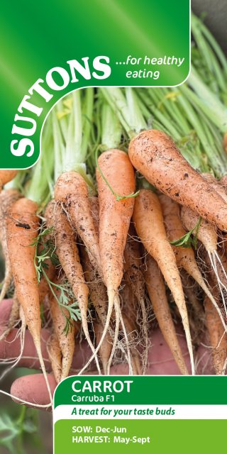 SUTTONS Suttons Carrot Daucus Carruba F1 Seeds