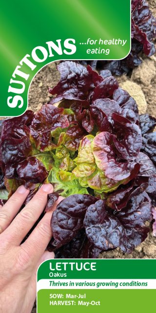 SUTTONS Suttons Lettuce Sativa Oakus Seeds