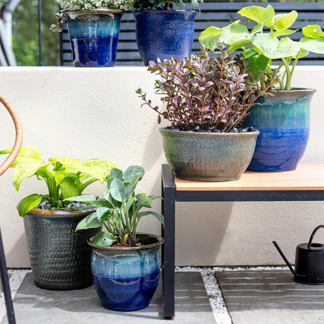 Apta Neptune Bowl Plant Pot - Outdoor Pots