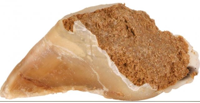 TRIXIE Trixie Filled Hoof Chew 115g