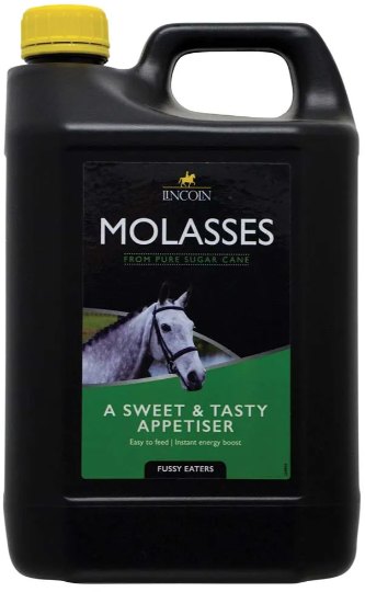 Lincoln Lincoln Molasses