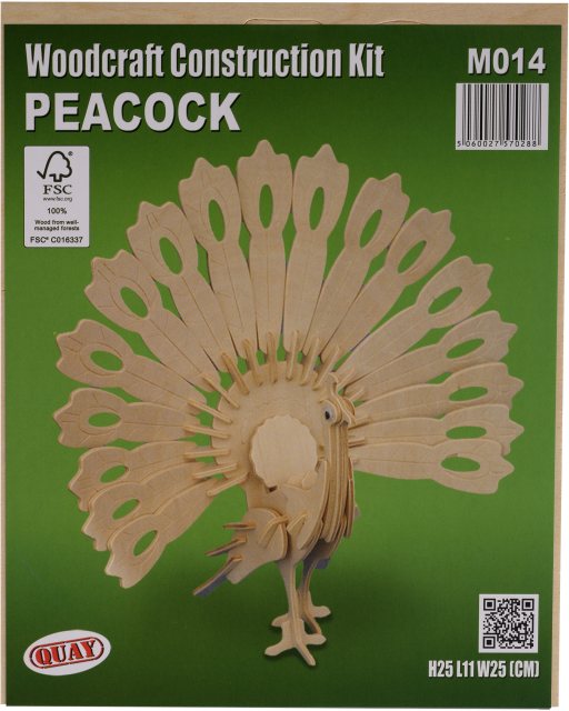 Quay Parrot Wooden Craft Kit