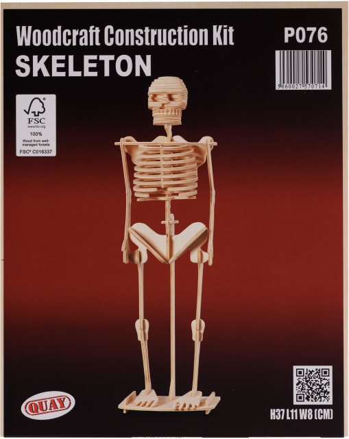 Quay Skeleton Wooden Craft Kit