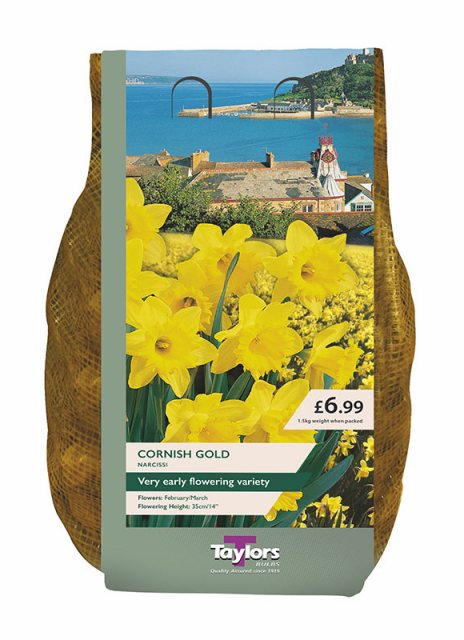 Taylor's Bulbs Cornish Gold Nacissus 1.5kg