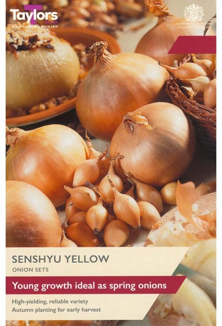 Taylor's Bulbs Senshyu Yellow Onion Set 50