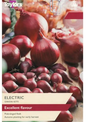 Taylor's Bulbs Electric Onion Set 50