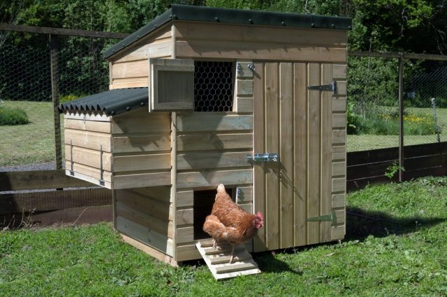 Forest Garden Forest Garden Large Hen House