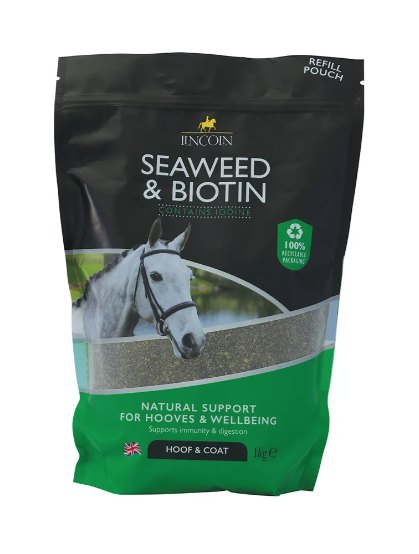 Lincoln Lincoln Seaweed & Biotin Powder 1kg