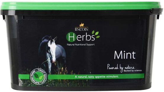 Lincoln Lincoln Herbs Mint Refill Pouch 400g