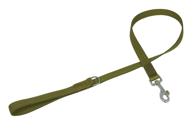 Earthbound Cotton Lead