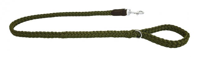 Earthbound Braided Leather Lead