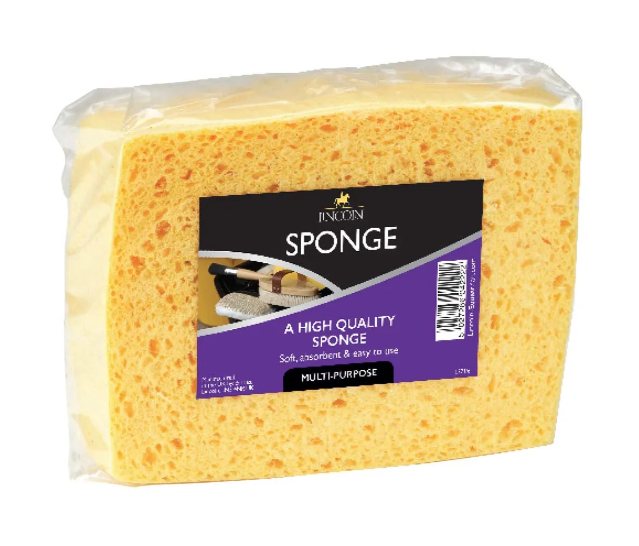 Lincoln Lincoln Sponge