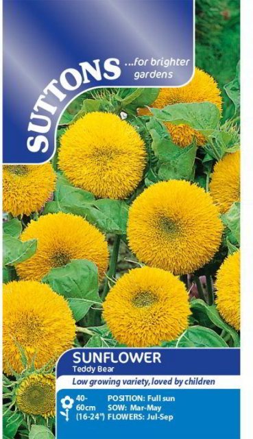 SUTTONS Suttons Teddy Sunflower Seeds