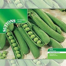 SUTTONS Suttons Mucio Pea Seeds