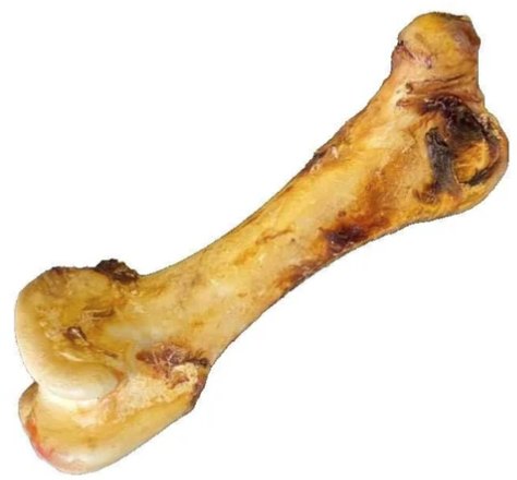 Deli Paws Ostrich Dino Bone Short