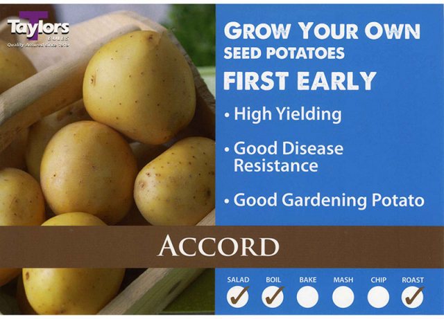 Taylors Bulbs Taylor's Bulbs Accord Seed Potatoes 2kg