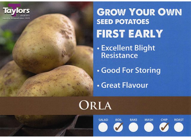 Taylors Bulbs Taylor's Bulbs Orla Seed Potatoes 2kg