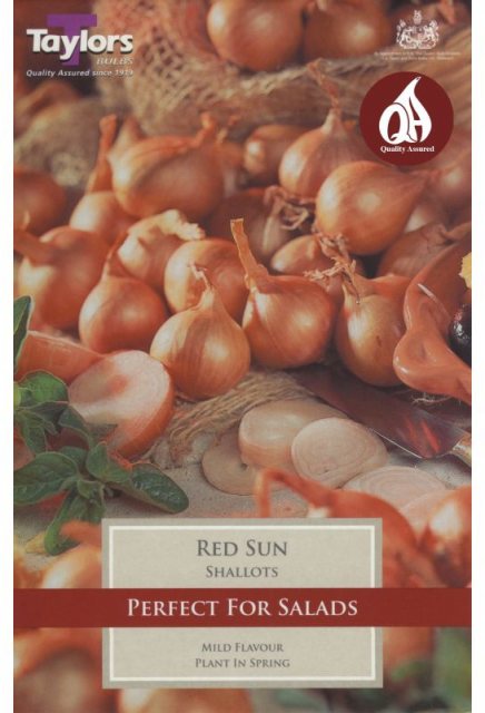 Taylors Bulbs Taylor's Bulbs Red Sun Shallot Bulbs