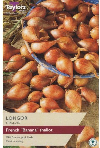 Taylors Bulbs Taylor's Bulbs Longor Shallot Bulbs