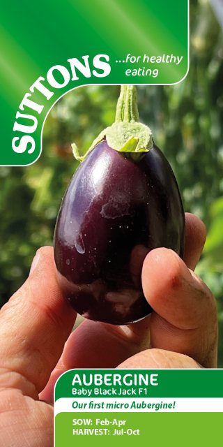 SUTTONS Suttons Aubergine Solanum Melongena Baby Black Seeds
