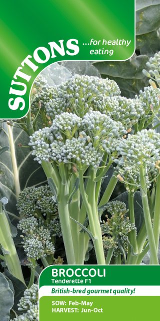 SUTTONS Suttons Brocolli Brassica Italica Tenderette Seeds
