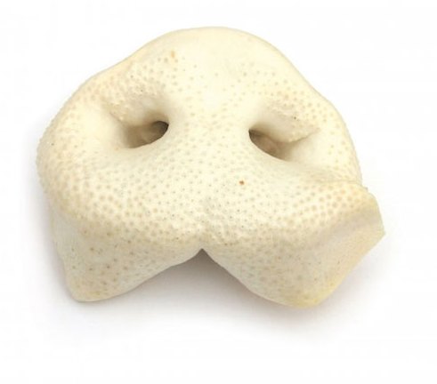 J R Pet Puffed Porky Snout Dog Treat