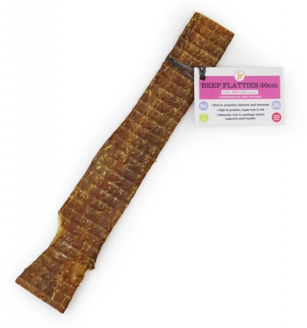 J R Pet Beef Flattie Dog Treat