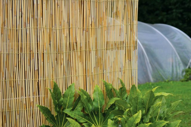 Treadstone Natural Reed Screen