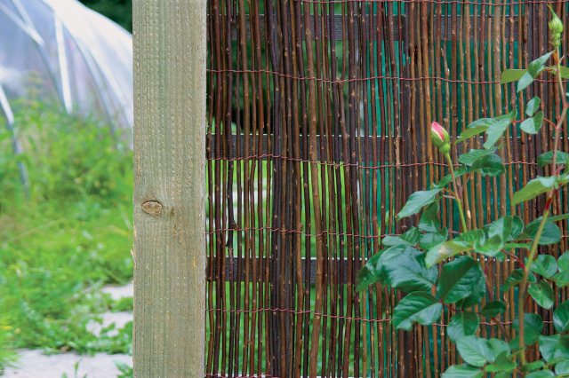 Treadstone Natural Willow Screen