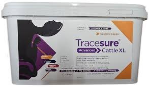 Tracesure Advanced Cattle XL Bolus With Copper 20 Pack