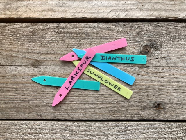 Tildenet Coloured Plant Labels 4"