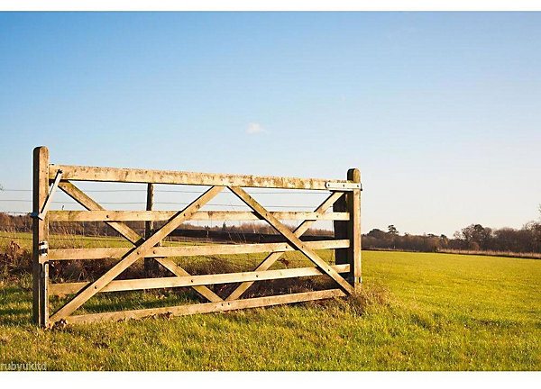 Ruby Diamond Brace 5 Bar Wooden Field Gate H 1.2m