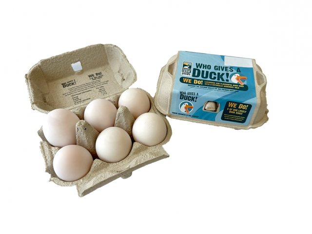 Who Gives A Duck Duck Eggs 6 Pack