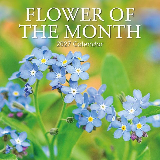 Gifted Stationary Square Flower Of The Month Calendar 2027