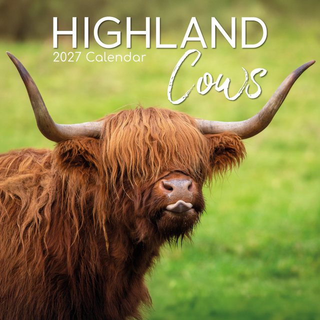 Gifted Stationary Square Highland Cows Calendar 2027