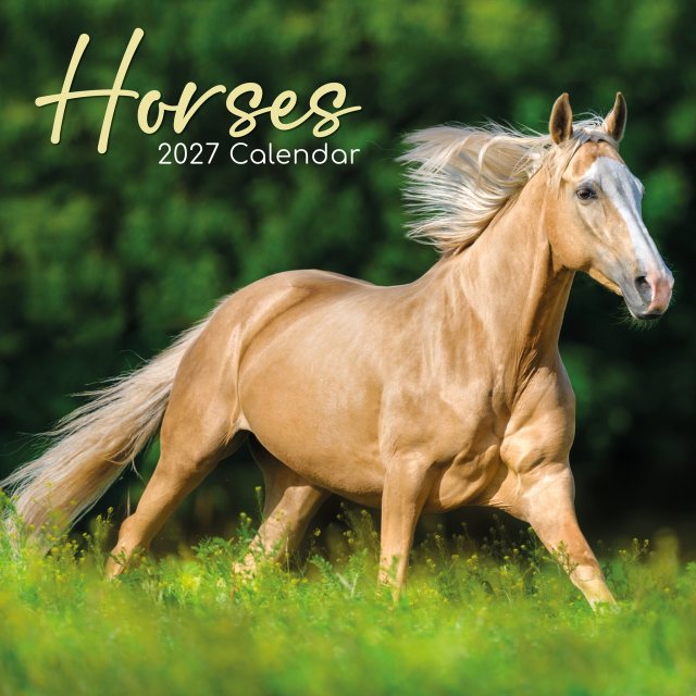 Gifted Stationary Square Horses Calendar 2027