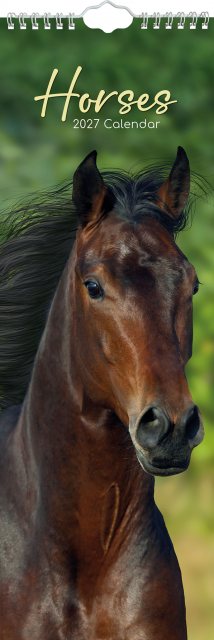 Gifted Stationary Slimline Horses Calendar 2027