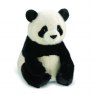 Aurora Borealis Hui Ring Panda Soft Toy 12"