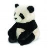 Aurora Borealis Hui Ring Panda Soft Toy 12"