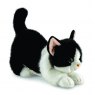 Aurora Borealis Domino Black & White Cat Soft Toy 12"