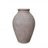 Apac Antique Olive Pot Green Terracotta