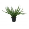 POTTED BOTANICA FERN 44CM BLK