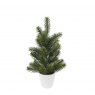 TREE PINE 38CM IN POT
