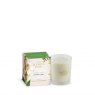 Ashleigh & Burwood Scented Candle 170g