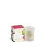 Ashleigh & Burwood Scented Candle 170g