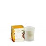 Ashleigh & Burwood Scented Candle 170g